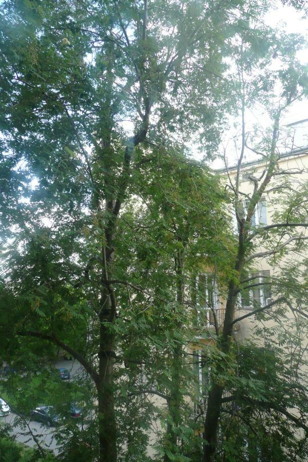 Sunny Wisla River Apartment Varsovia Exterior foto